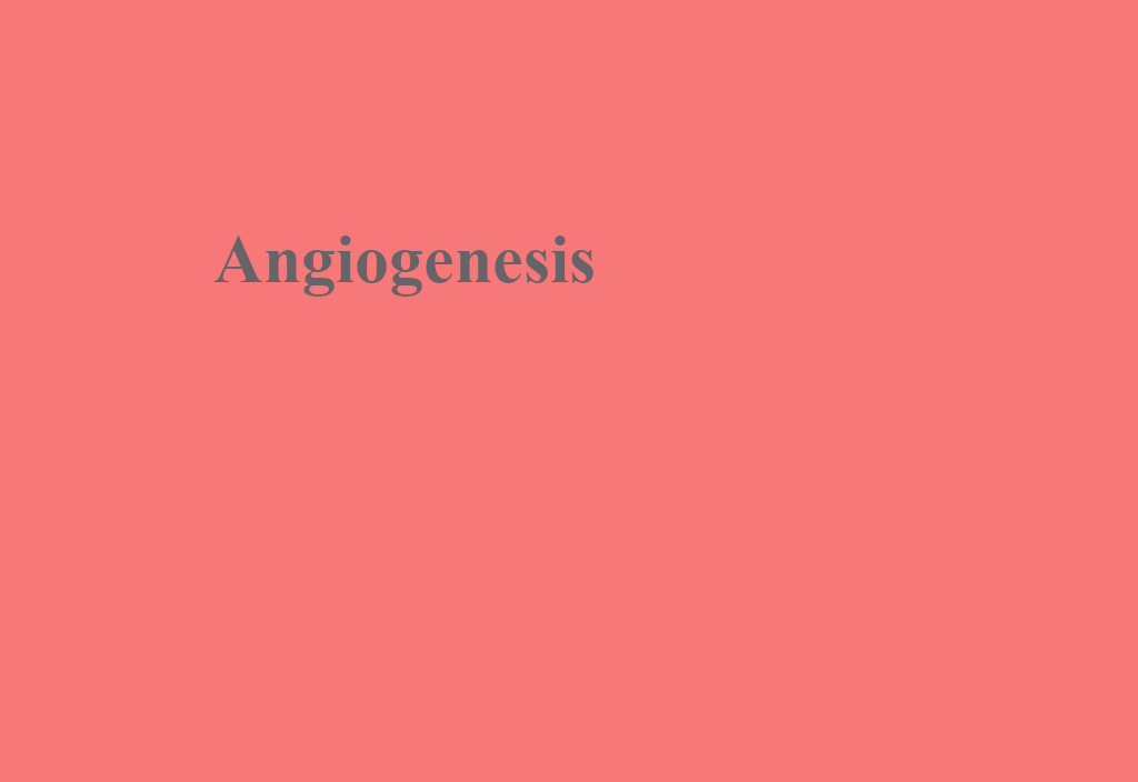 Angiogenesis