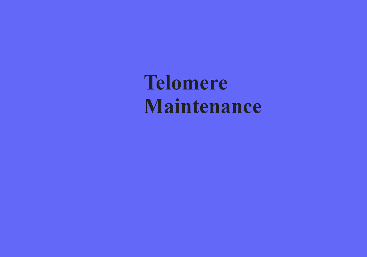 Telomere